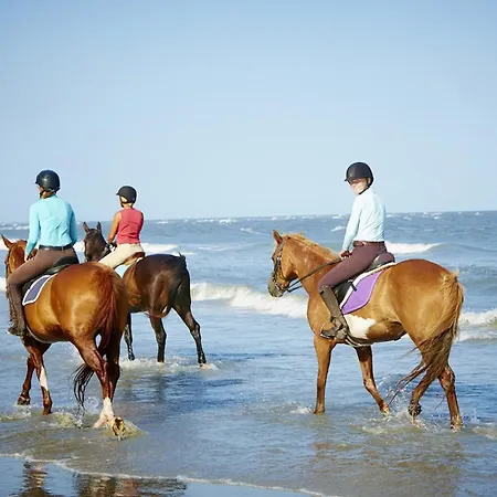 1313 Pelican Watch-Beach-Amenities - $299 June 20-3